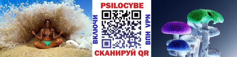 купить наркотик  Староминская  Псилоцибиновые грибы Psilocybe 